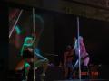 pole-dancer1.JPG